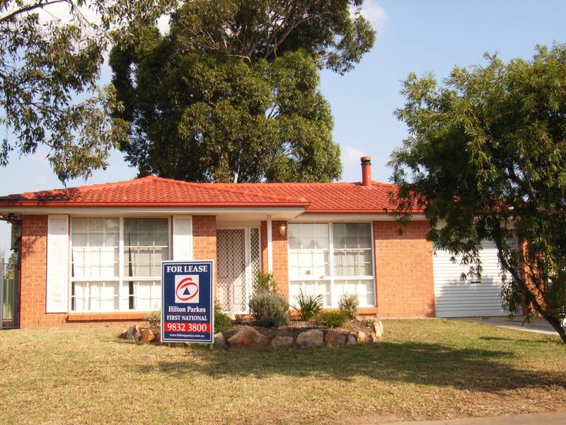 IMMACULATE FAMILY HOME Picture 1