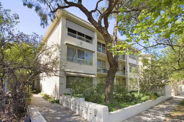 TREE LINED BOULEVARD! Picture 1