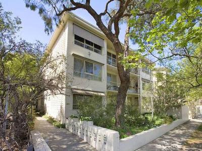 TREE LINED BOULEVARD! Picture