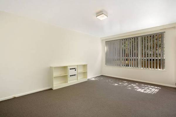 TREE LINED BOULEVARD! Picture 2