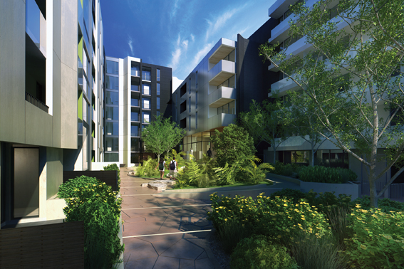 Brand New One Bedroom Apartments Picture 2