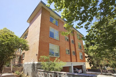 TREE LINED DELIGHT! Picture TREE LINED DELIGHT! Picture