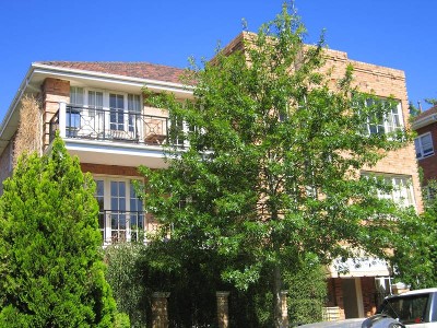 THE SECRET GARDEN! Picture