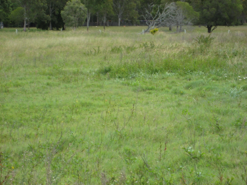Uninterrupted Ocean & Fraser Island Views Picture 3