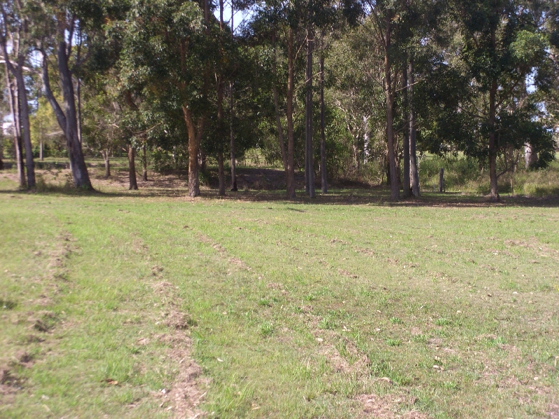 GREEN CHANGE WITH A SEA CHANGE Picture 3