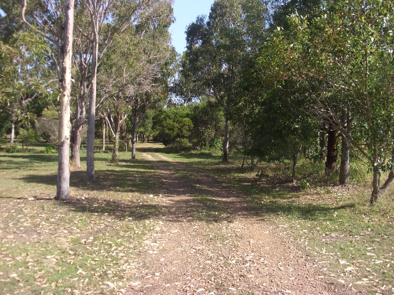 GREEN CHANGE WITH A SEA CHANGE Picture 2