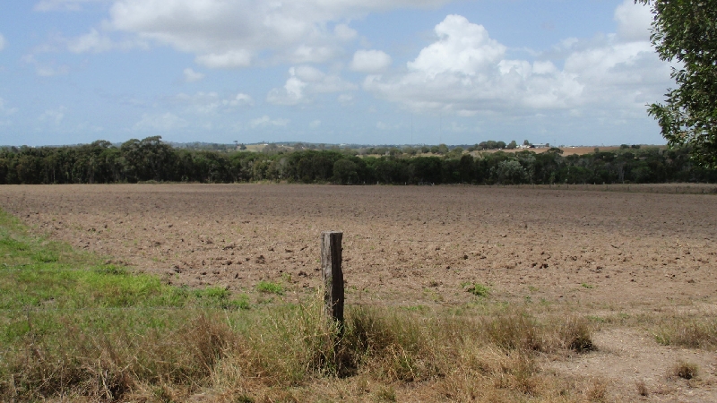 One Acre of Land with Views Picture 3