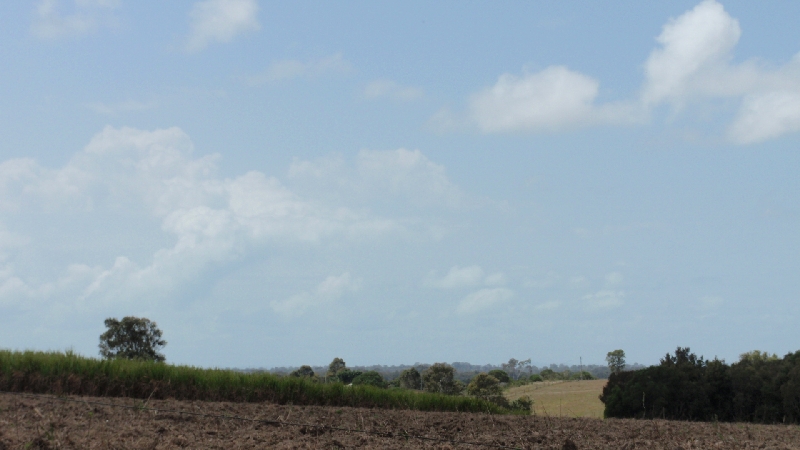 One Acre of Land with Views Picture 2