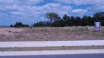 ABOVE THE REST Picture