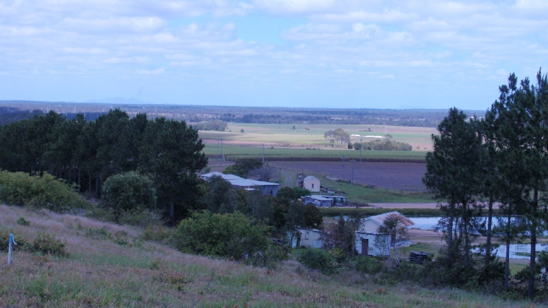 ABOVE THE REST Picture 3