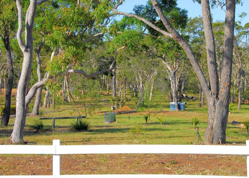 Springvale Estate Picture 2