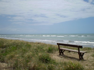 SEA, BEACH & GREEN CHANGE Picture