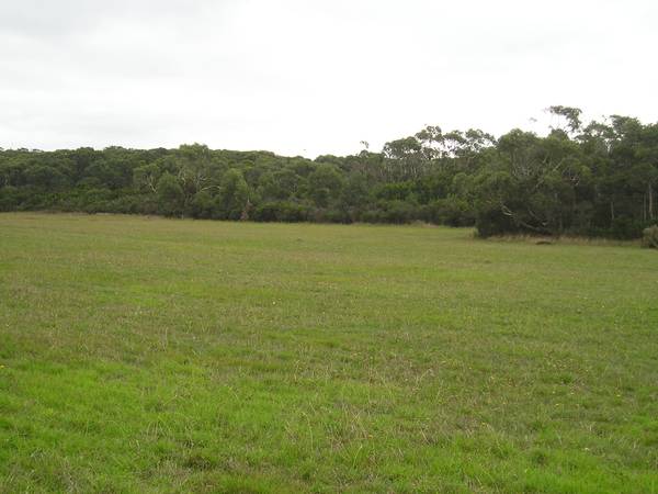 Nature Lover's Nirvana Picture 2