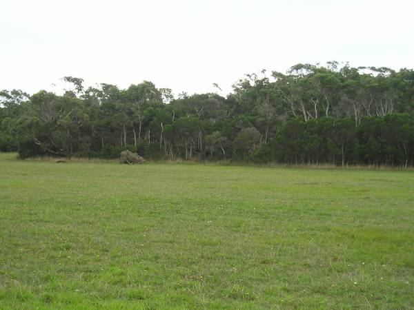 Nature Lover's Nirvana Picture 3