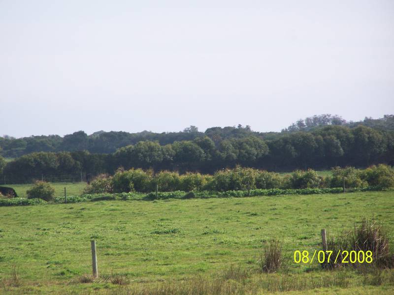 Private & Beautiful, Beach/Bush Land Picture 2