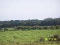 Private & Beautiful, Beach/Bush Land Picture