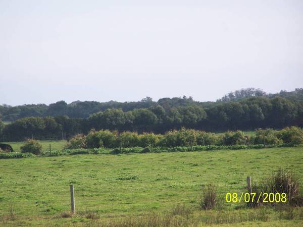 Private & Beautiful, Beach/Bush Land Picture 2