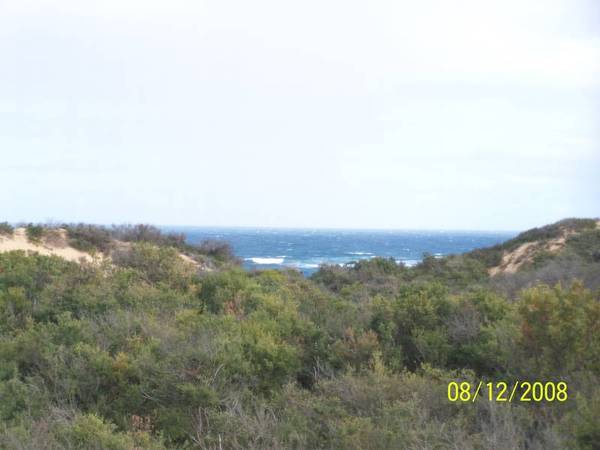 Unique Foreshore Property Picture 1