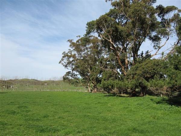 Vendor Says Sell?????? Picture