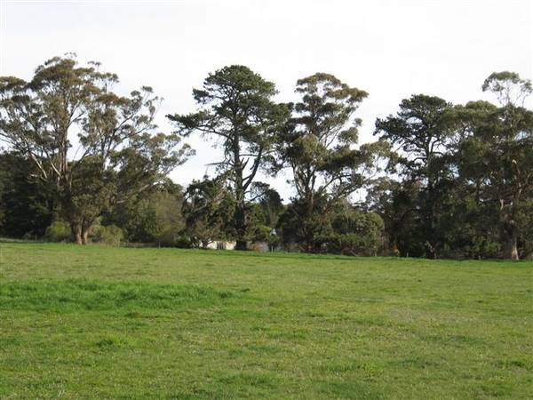 Vendor Says Sell?????? Picture