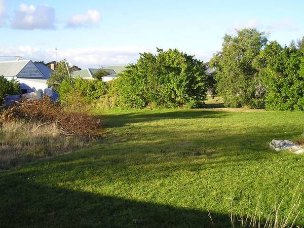 A Blank Canvas Picture