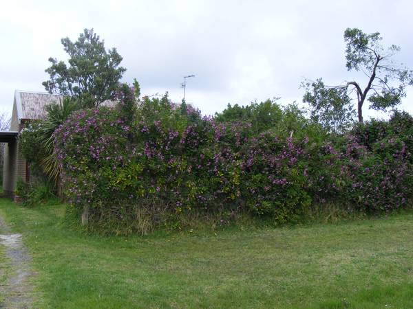 Entry Level Oppourtunity Picture