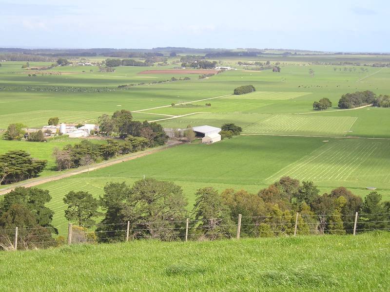 Panoramic Views Picture 2