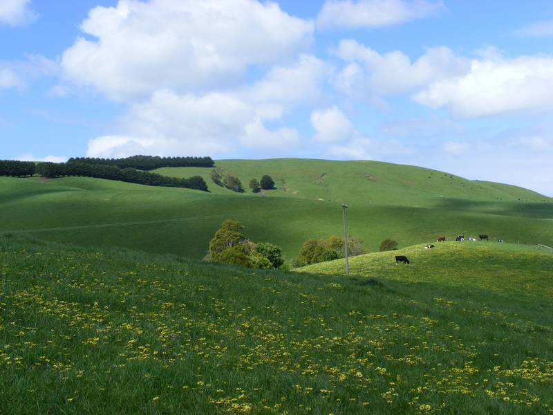 Rural & Valley Views Picture 1