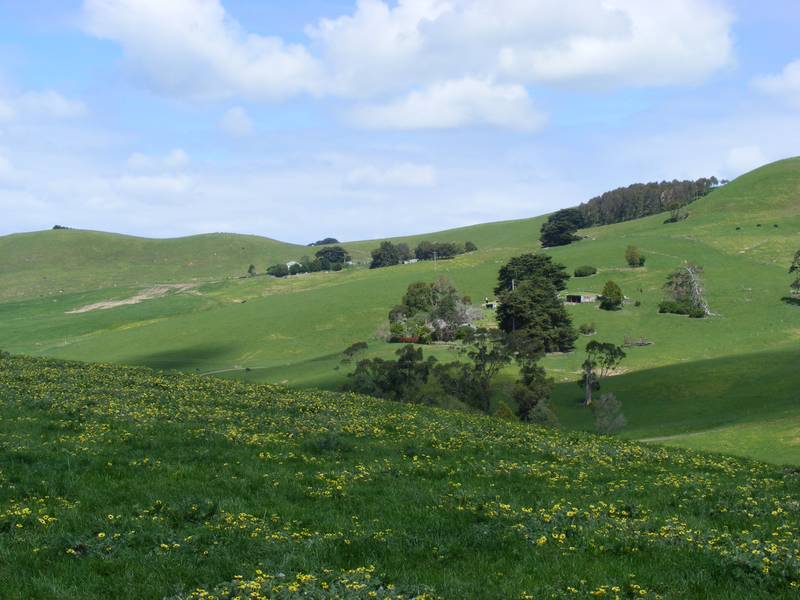 Rural & Valley Views Picture 2