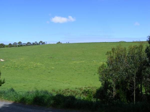 Field Of Dreams Picture 2