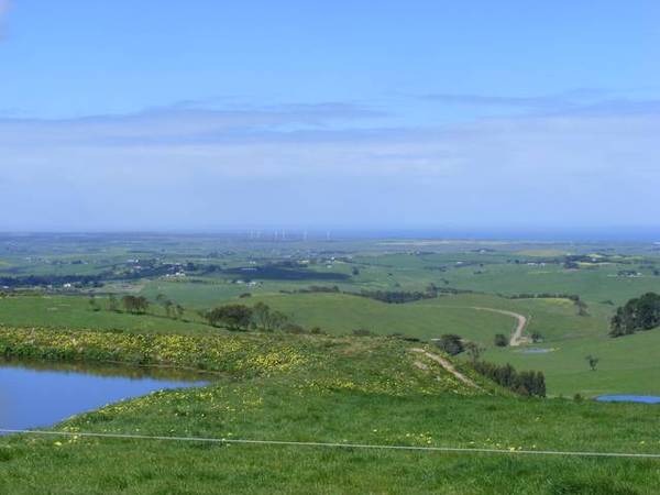 Field Of Dreams Picture 1