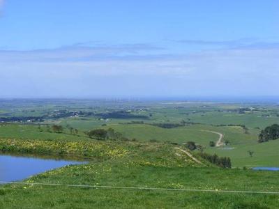 Field Of Dreams Picture