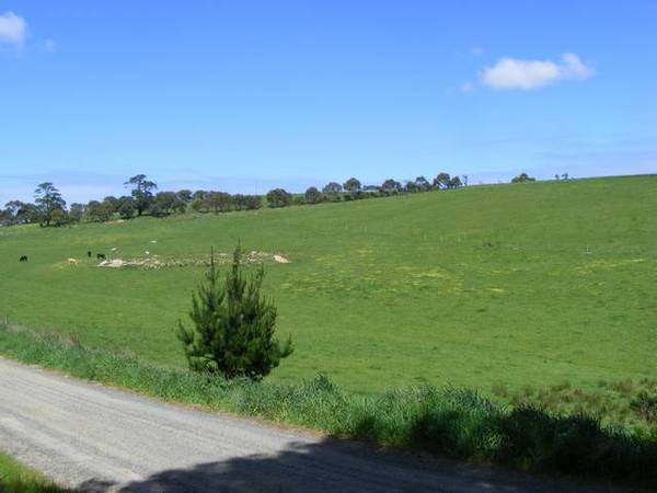 Field Of Dreams Picture 3
