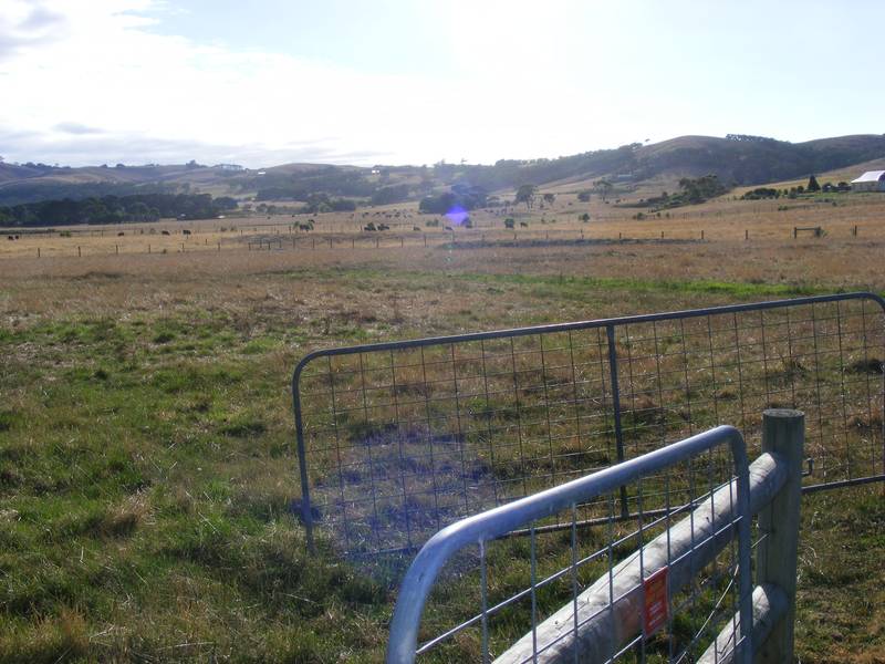 Quiet retreat Picture 2