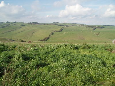 District Views Picture