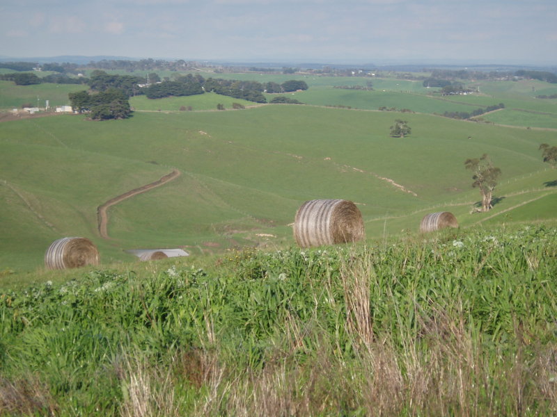 District Views Picture 2