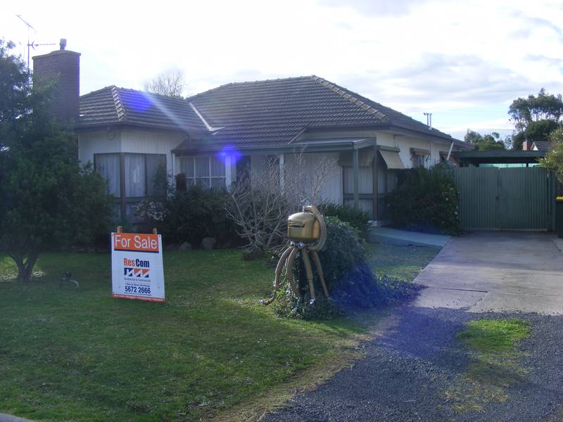 Entry Level Oppertunity Picture 1