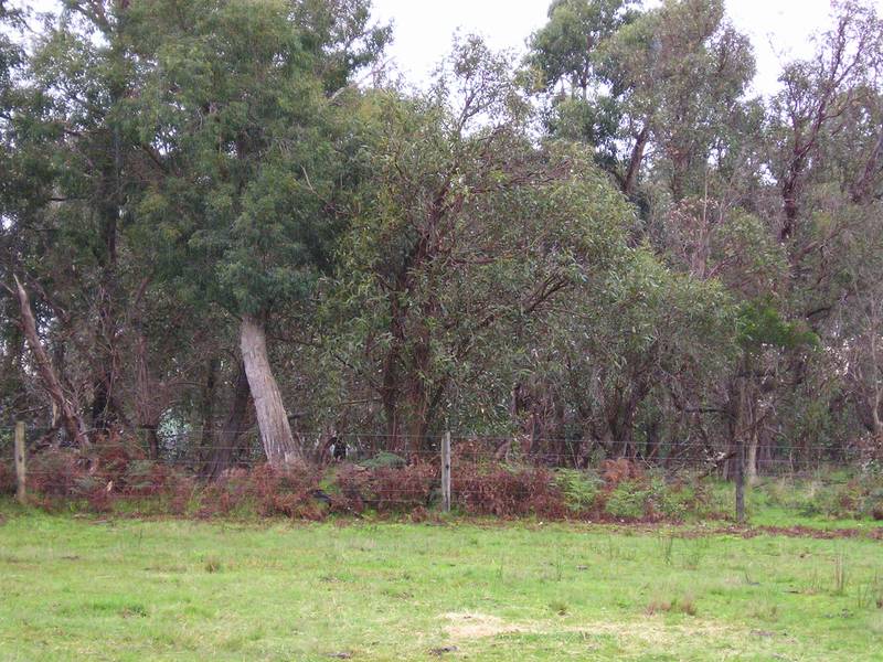 Lot 1 Leongatha Outtrim Road Picture 3