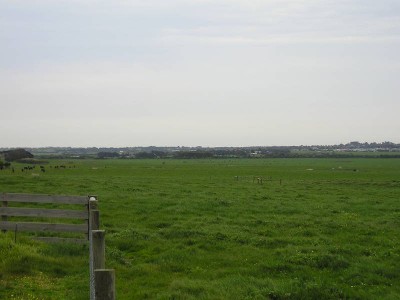 Quality Small Grazing Property of 125 Acres Picture