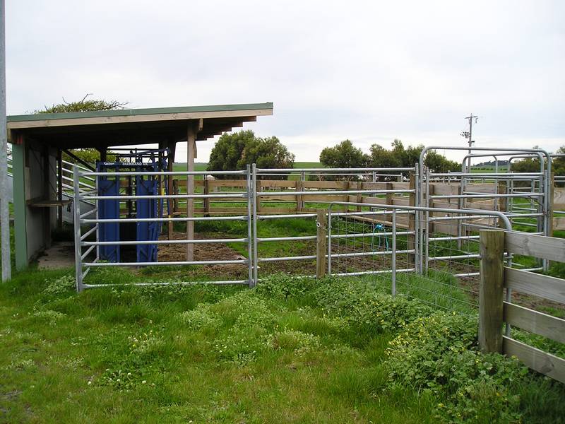 Quality Small Grazing Property of 125 Acres Picture 3