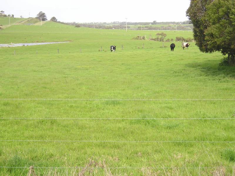 2 Vacant Blocks. Buy one or Both! Picture 1