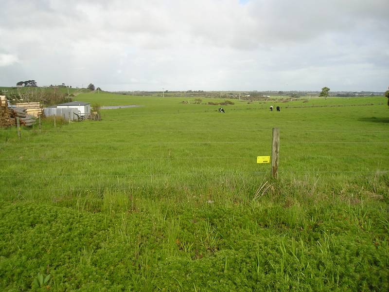 2 Vacant Blocks. Buy One or Both! Picture 1