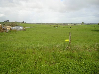 2 Vacant Blocks. Buy One or Both! Picture