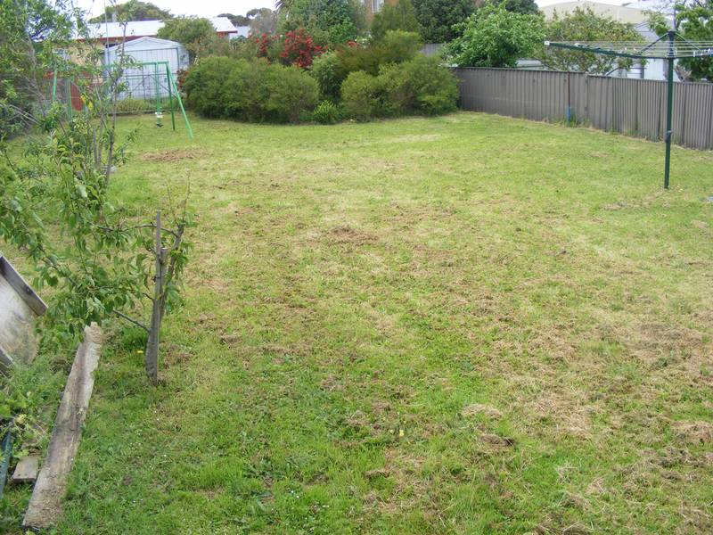 Entry Level Opportunity Picture 3