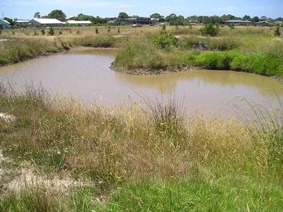 Rural Advantage With Town Amenity Picture Rural Advantage With Town Amenity Picture