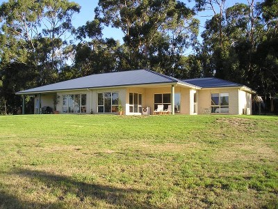 Pasture and Bush -- REDUCED Picture