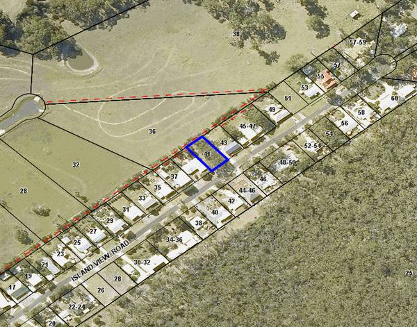 Enjoy the views amongst the trees Picture 1