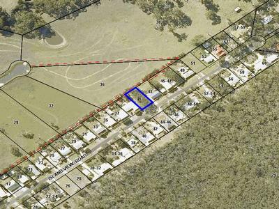 Enjoy the views amongst the trees Picture