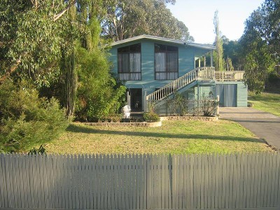 Elevated Beauty Picture