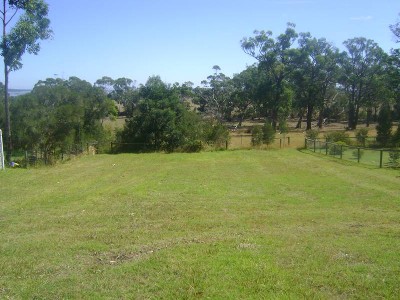 Gentle Patures,& Great Views Of
Westernport Bay Picture